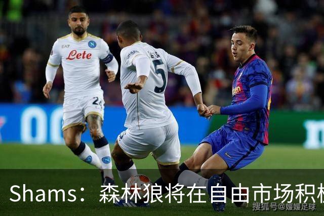 Shams：森林狼将在自由市场积极补强4号位 但他们只能提供底薪